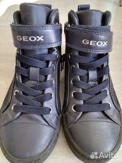 Ботинки для девочки Geox 31