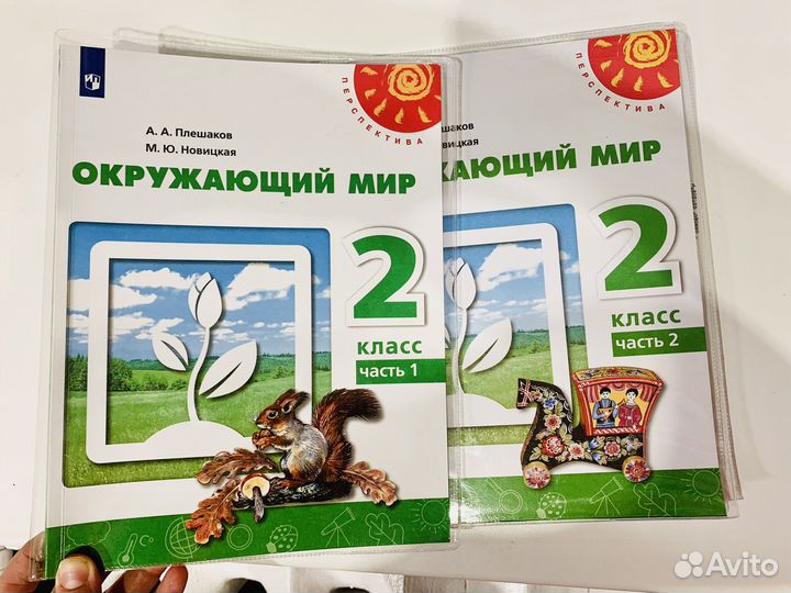 Новые Окружающий мир Перспектива 2 класс