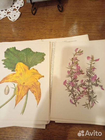 Набор открыток