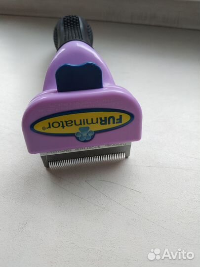 FURminator short hair