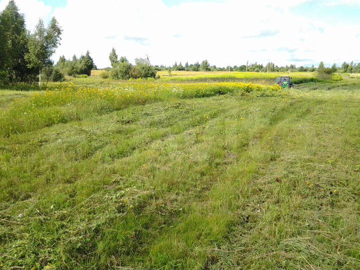 Участок 13 га (СНТ, ДНП)