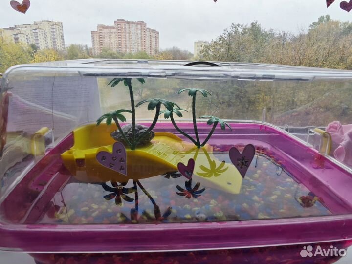 Красноухая черепашка с ее домом