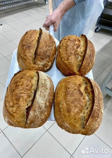 Технолог, Директор пекарни(Обучение персонала)