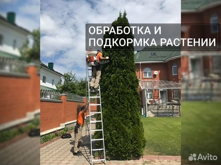 Уход за садом. Услуги садовника