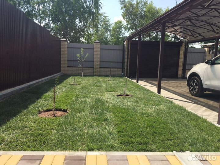 Рулонный газон от производителя опт цена