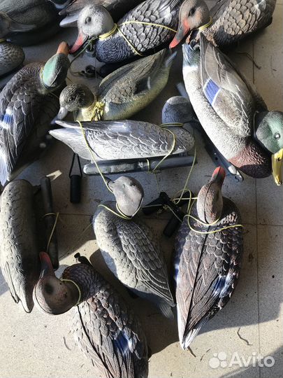 Чучела уток для охоты