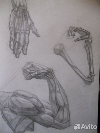 Репетитор по живописи рисунку