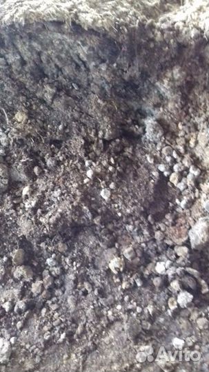 Конский перегной без опилок