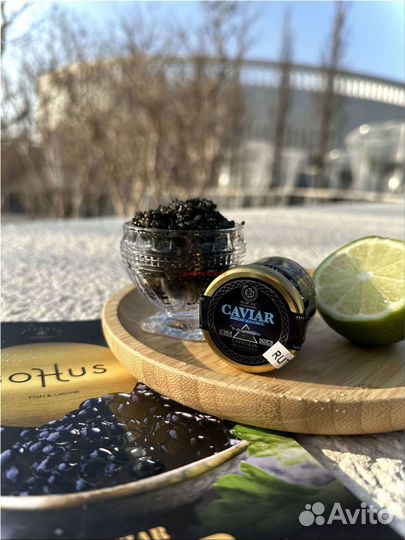Черная икра