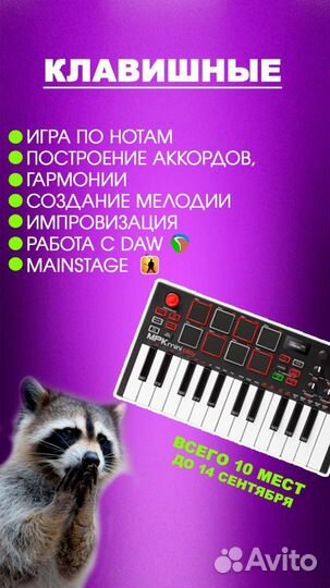 Учитель, преподаватель музыки