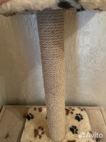 Когтеточка для кошек