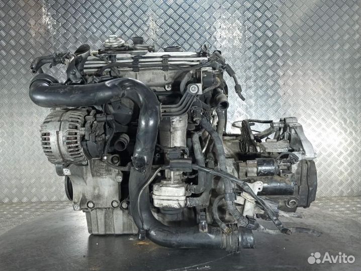 Двигатель Volkswagen Golf 5 (03-09) BXE