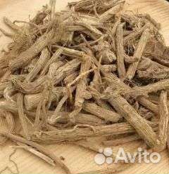 Корень солодки (сапожниковия растопыренная)