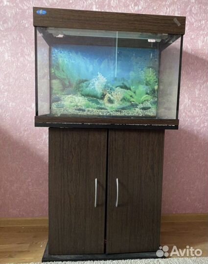 Аквариум 104л с тумбой