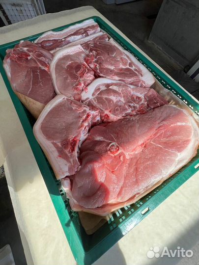 Мясо свинина