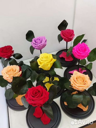 Роза в колбе оптом и в розницу