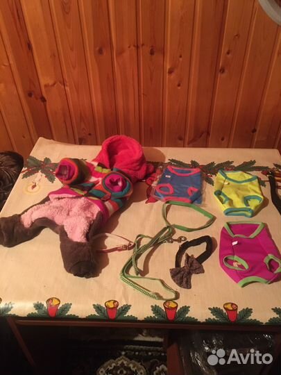 Одежда для собак мелких пород /для мальчика