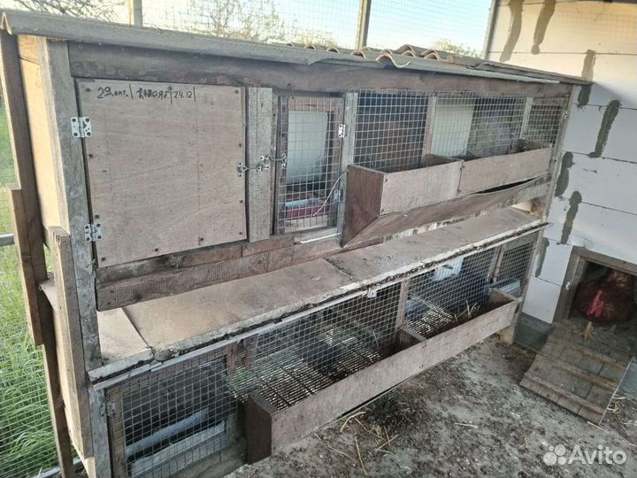 Клетка для кролика