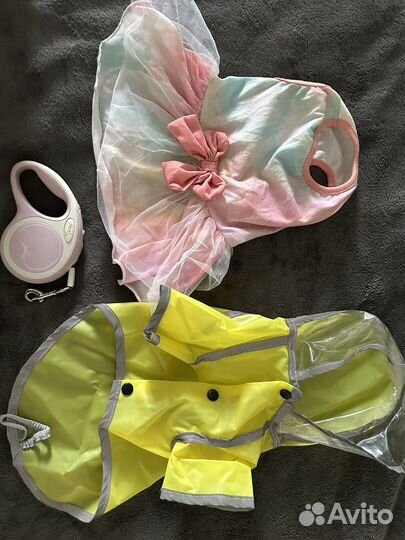 Одежда для маленьких собак