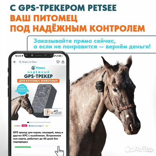 Ошейник для крс