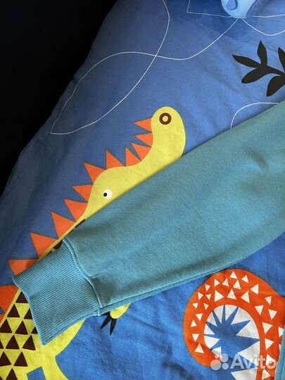 Толстовка Zara для мальчика