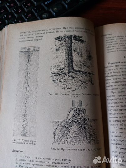 Ботаника - Всесвятский (1961)