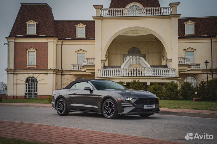 Прокат Ford Mustang. Аренда форд мустанг