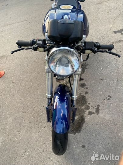 Ducati monster