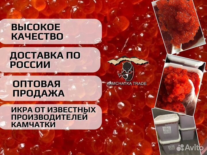 Красная икра