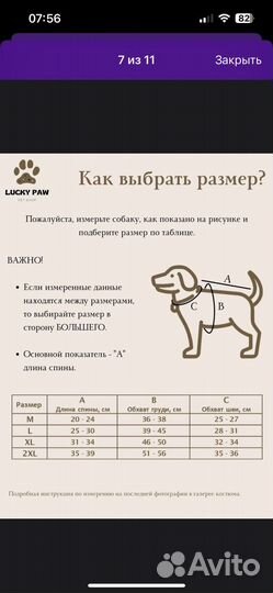 Дождевик для маленькой/средней собаки