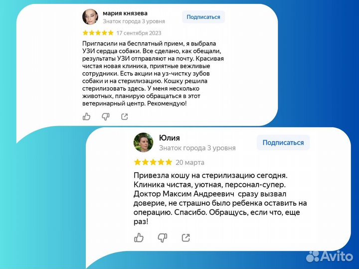 Стерилизация кастрация животных