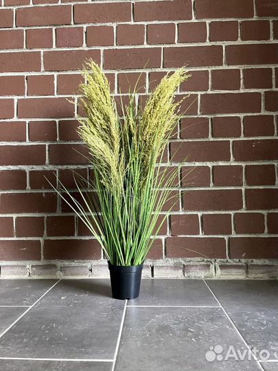 Искусственные растения для декора