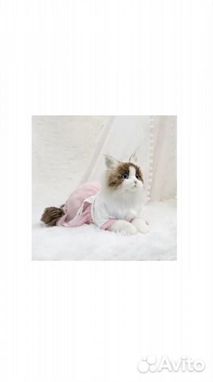 Реалистичная игрушка. Кот Чонгер. Новый