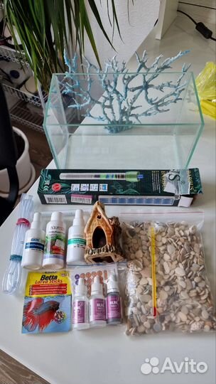 Аквариум для рыбки петушка