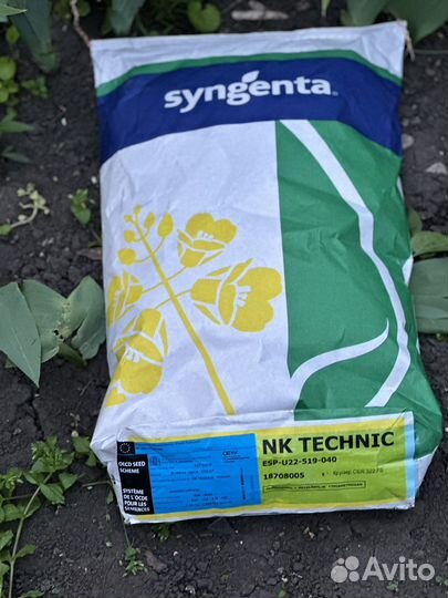 Семена озимого рапса сингента