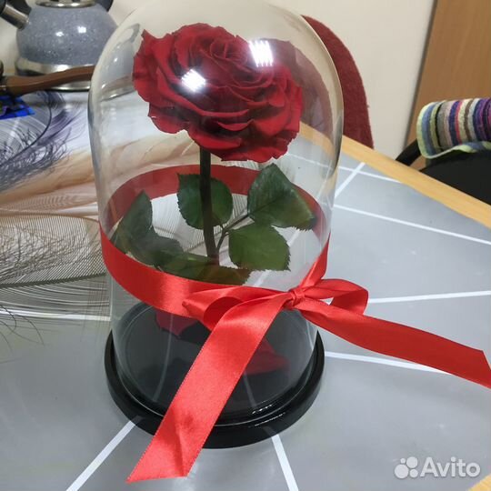 Вечная роза в колбе