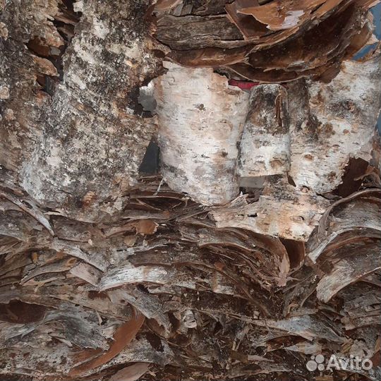 Продам Дрова березовые колотые сухие доставка