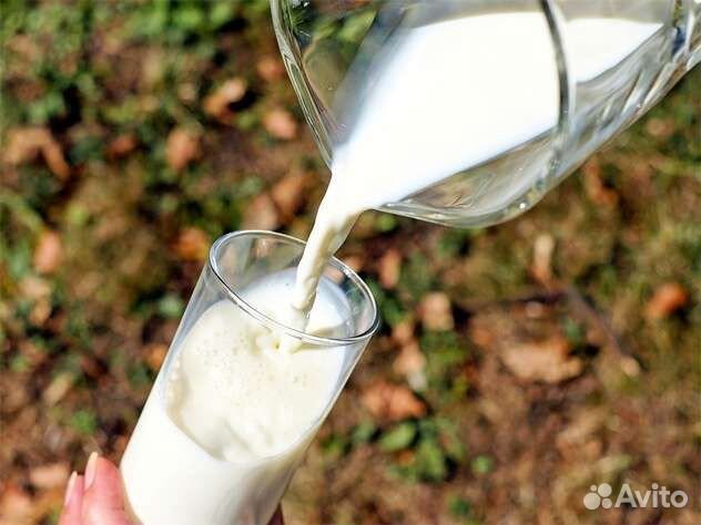 Домашнее парное молоко