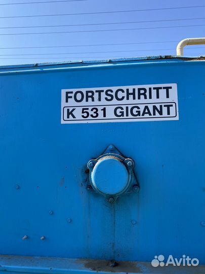 Пектус гигант 531