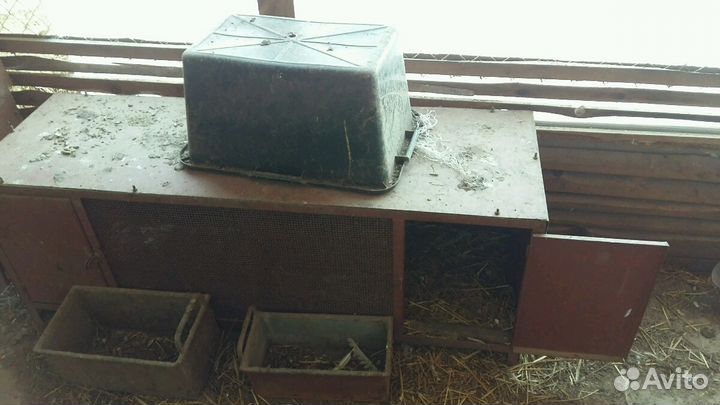 Клетки для кроликов и нутрий