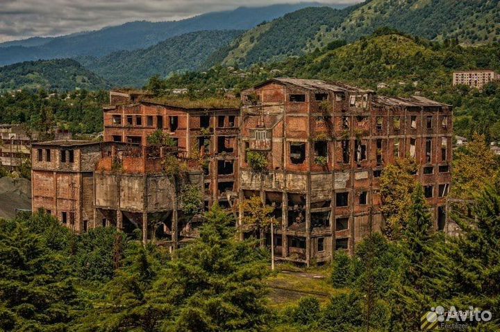 Экскурсии в абхазию и сочи ежедневно