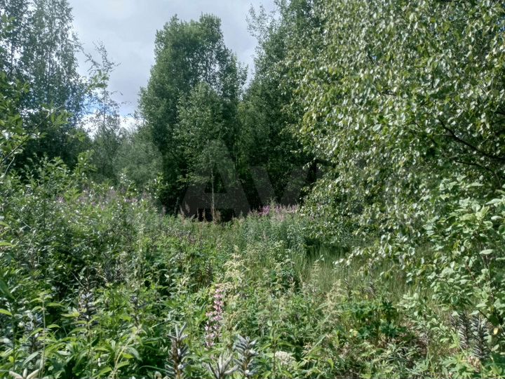 Участок 15 сот. (СНТ, ДНП)