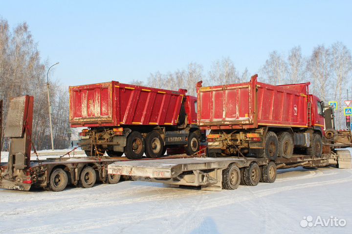 Услуги Трала Перевозка негабаритных грузов