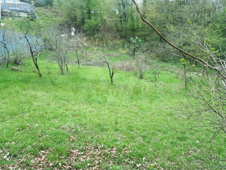 Участок 7,3 сот. (СНТ, ДНП)