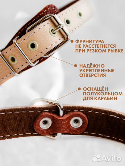 Кожаный ошейник для собак