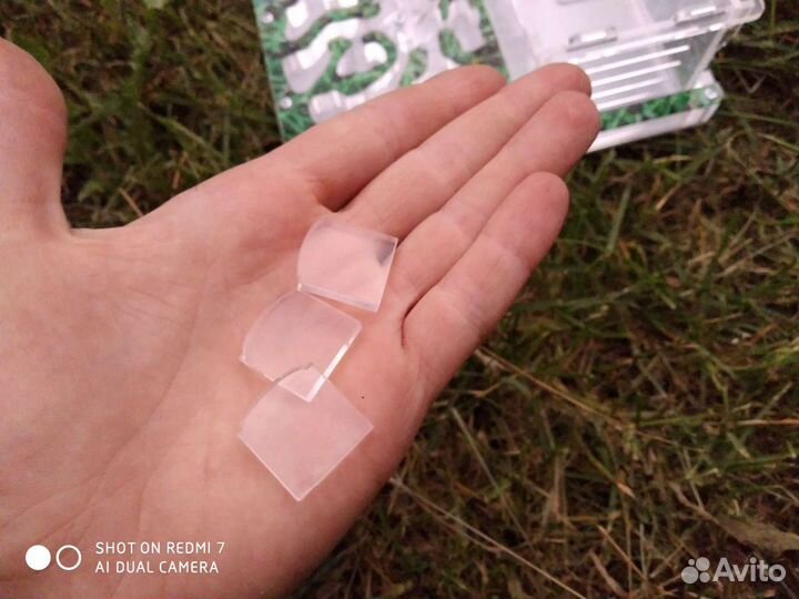 Муравьиная ферма