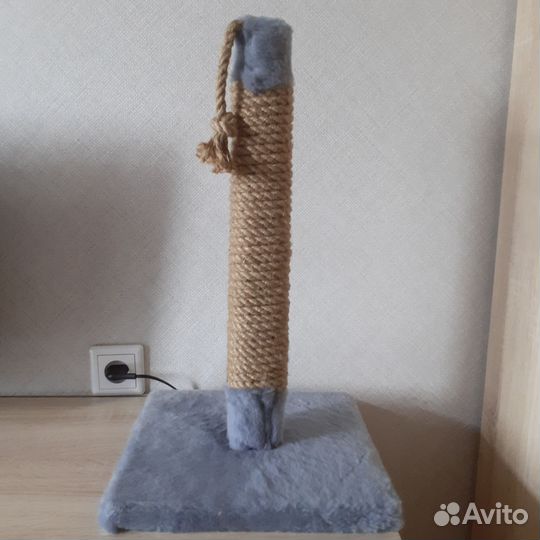 Когтеточка