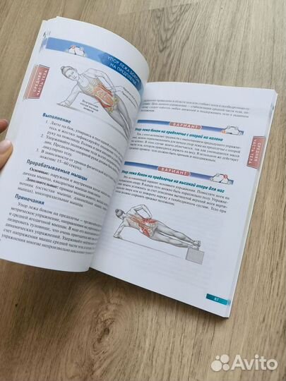 Анатомия силовых упражнений, Мышечная механика