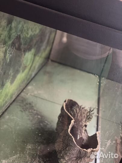 Аквариум с тумбой 450 л