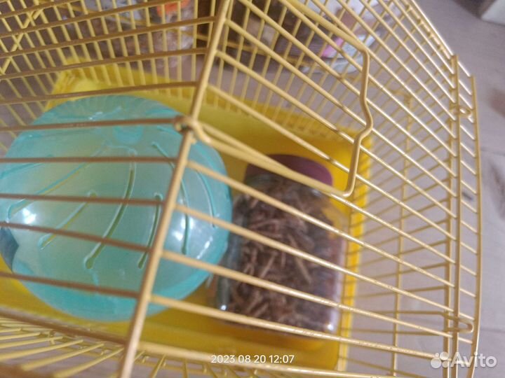 Все для хомяка